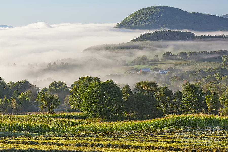 September Country Morning Photograph by Alan L Graham