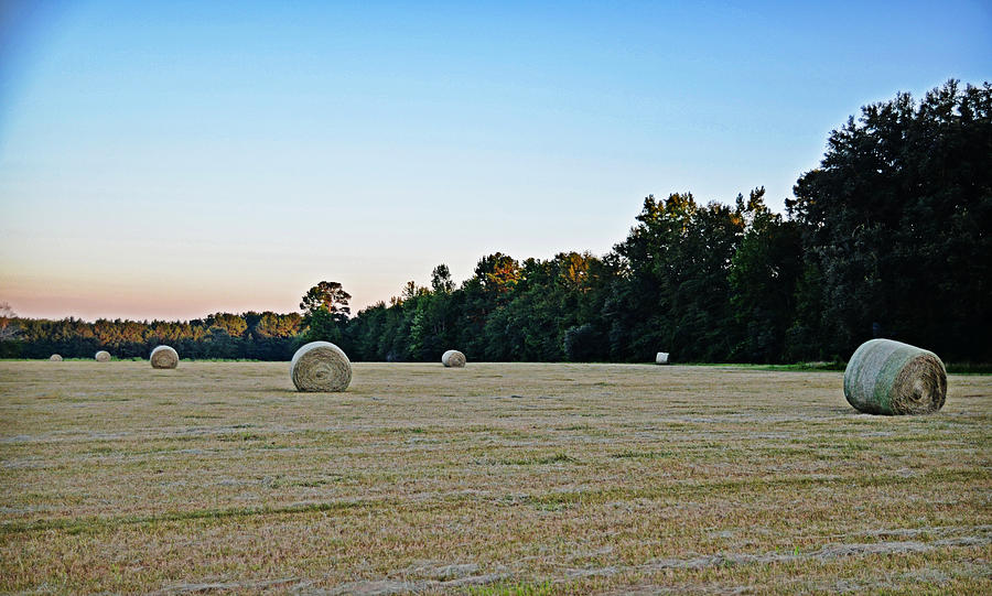 September Field Photograph by Linda Brown