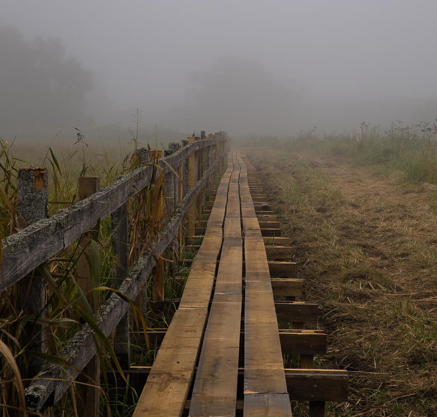 Nature Photograph - September mist HDR - foggy day over walk way by Leif Sohlman
