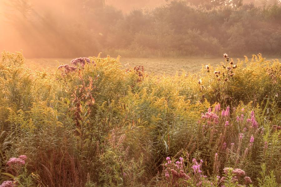 September Morn Photograph by Kathy Wesserling - Fine Art America