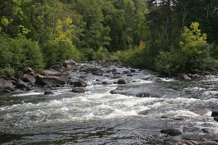 September River Photograph by Sonya Leeds - Fine Art America