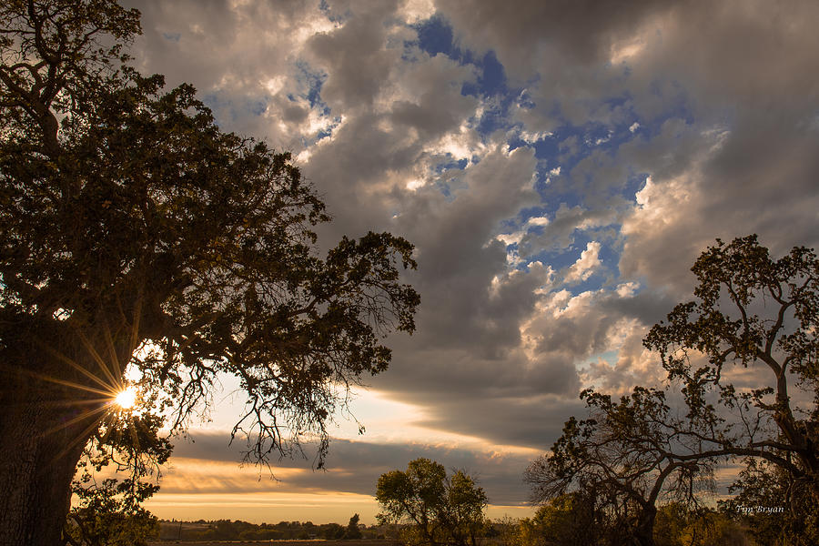 Landscape Photograph - September Sky by Tim Bryan
