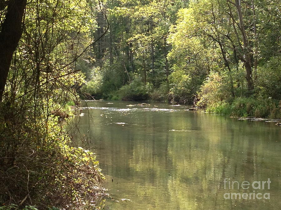 September Spring Creek Photograph by Mark Messenger