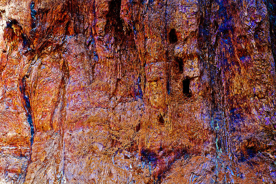 Sequoia Bark Faces in Mariposa Grove in Yosemite National Park-California  Photograph by Ruth Hager
