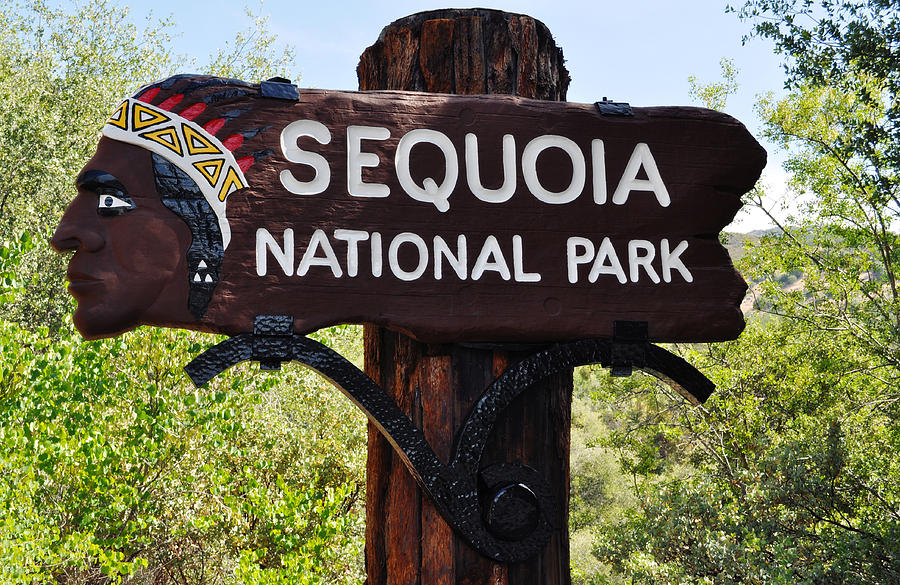 Sequoia National Park Photograph by Kyle Hanson