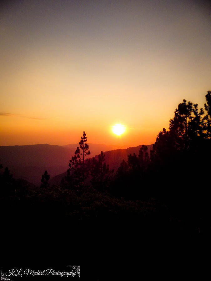 Sunset Photograph - Sequoia Sunset 2 by Kelli Medart