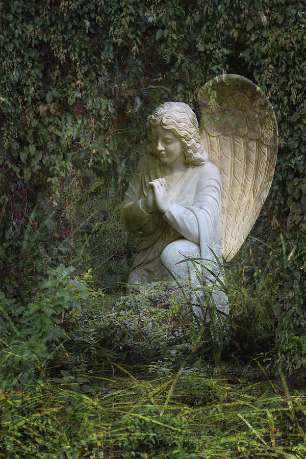 Seraphim Angel Garden Photograph by Ella Kaye Dickey