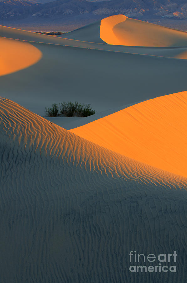 Death Valley National Park Photograph - Death Valley Serenade In Light by Bob Christopher
