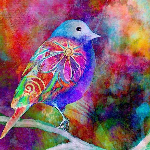 Collage Photograph - Serendipity...a New Little #birdie by Robin Mead