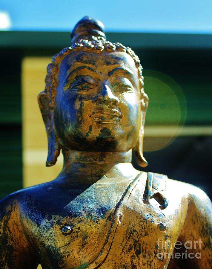 Serene Buddha Photograph by Craig Wood