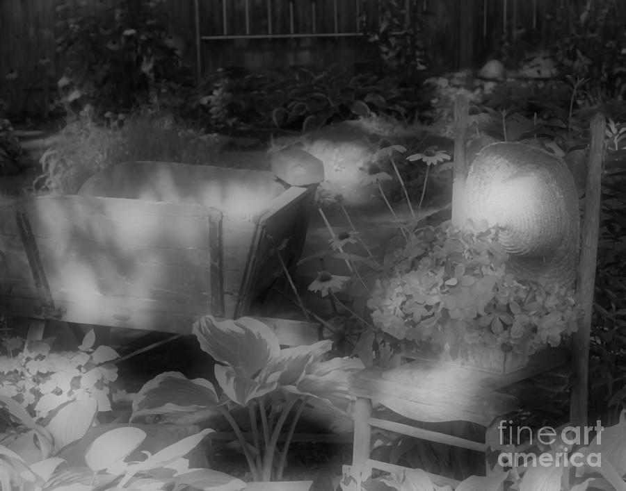 Serene Flower Garden In Black And White Photograph by Smilin Eyes Treasures