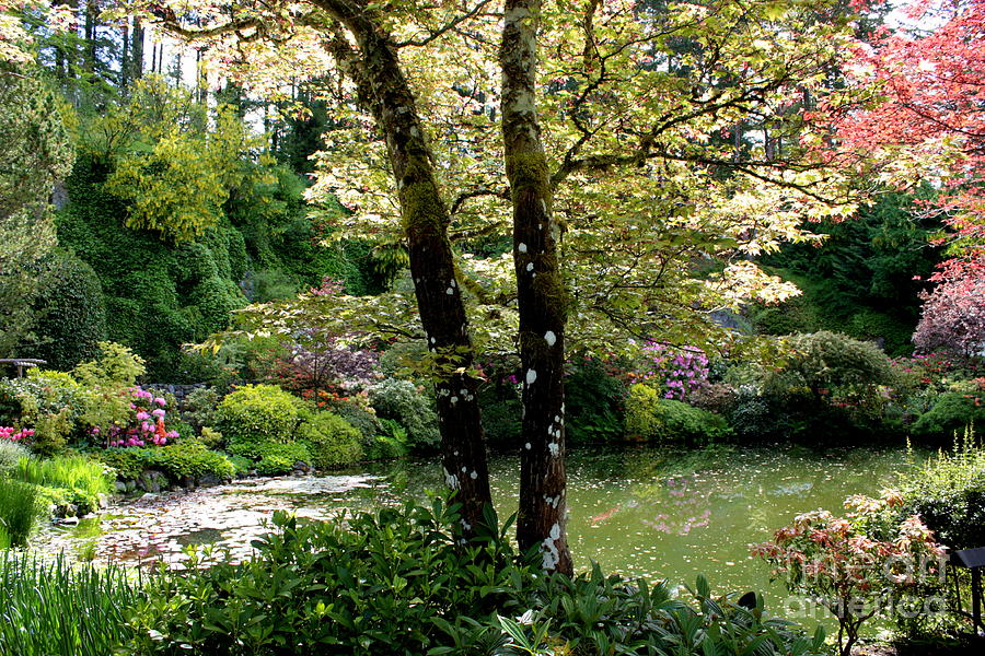 Landscape Photograph - Serene Garden Retreat by Carol Groenen