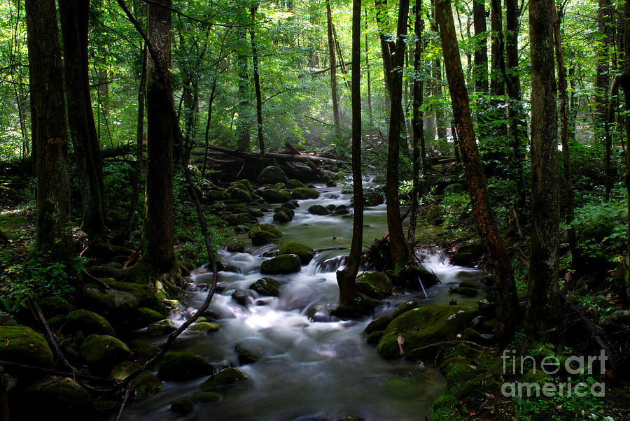 Serene Greenbrier Area Stream  Photograph by Nancy Mueller