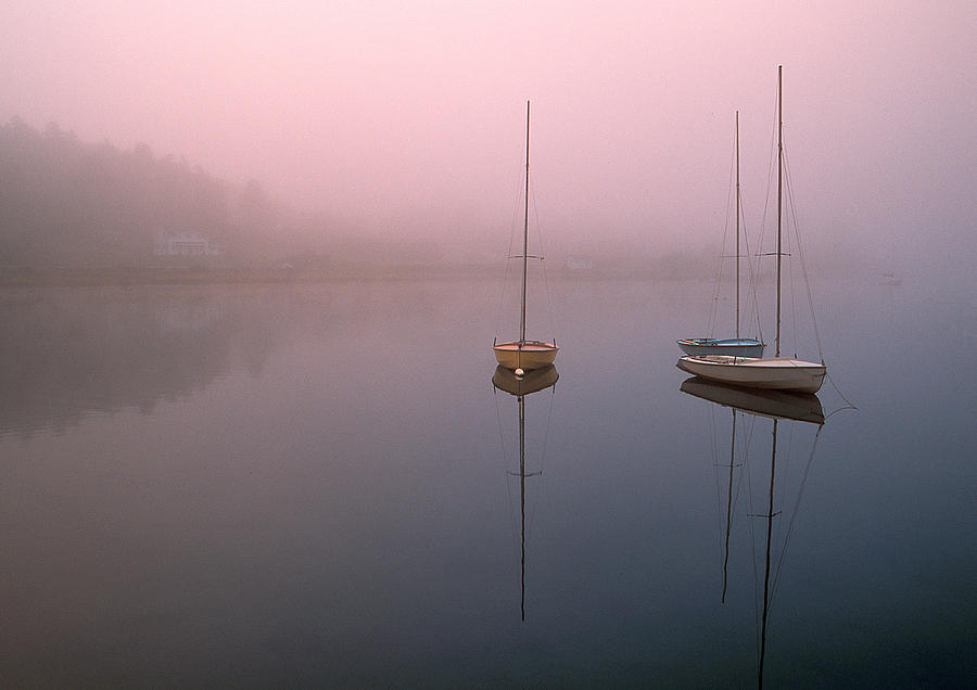 Boat Photograph - Serene Morning by Inge Riis McDonald