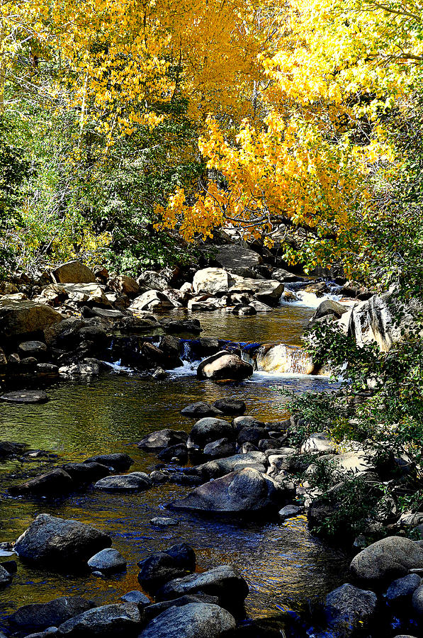 Serene Setting Photograph by Lynn Bawden