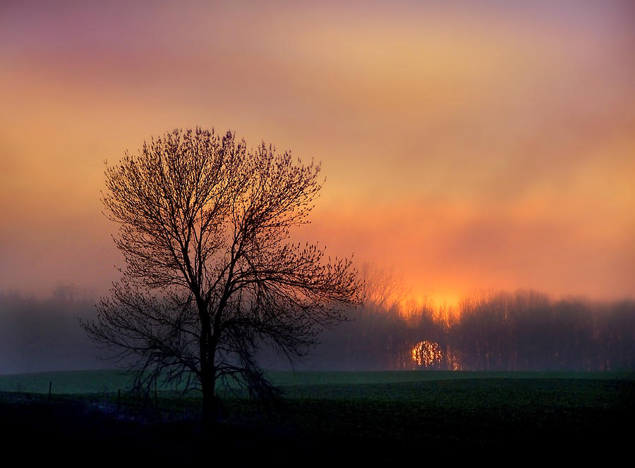 Serene Sunset Photograph by Bill Pevlor