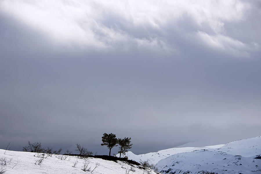 Winter Photograph - Serene winter landscape by Gry Thunes