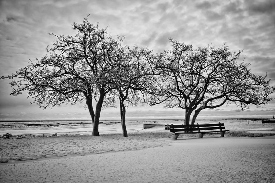 Serene wintry lakefront scene Photograph by Sven Brogren