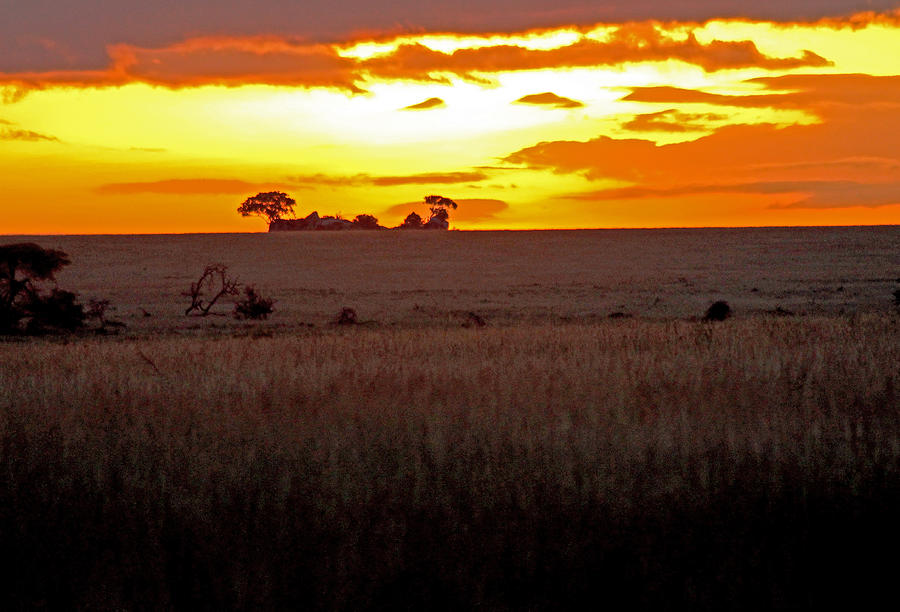 Serengeti Dawn Photograph by Tony Murtagh