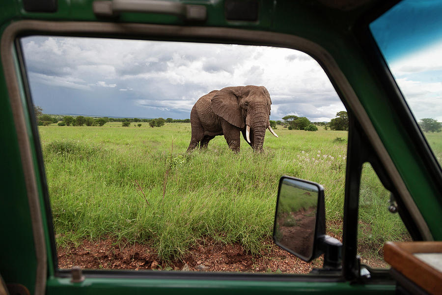 Serengeti National Park Photograph by Luis Davilla