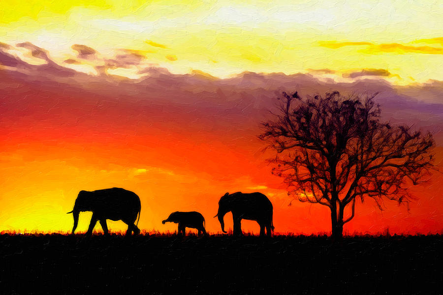 Serengeti Silhouette Digital Art by Rick Wicker