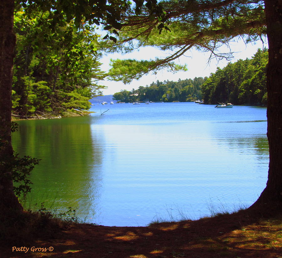 Escape to Serenity: Exploring the Enchanting Maine Scopan State Park