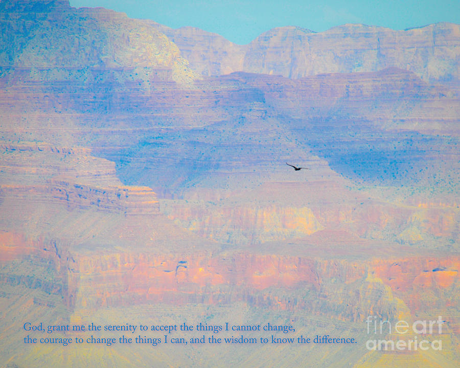 Condor Photograph - Serenity at the South Rim by Cheryl McClure
