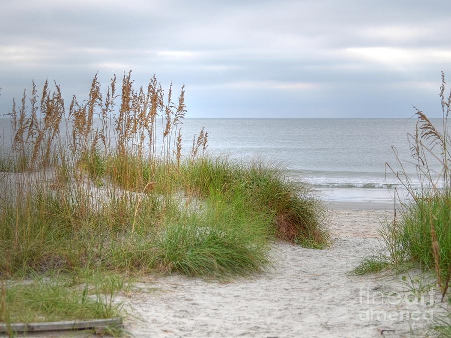 Serenity Beach In Color Photograph by Kathy Baccari
