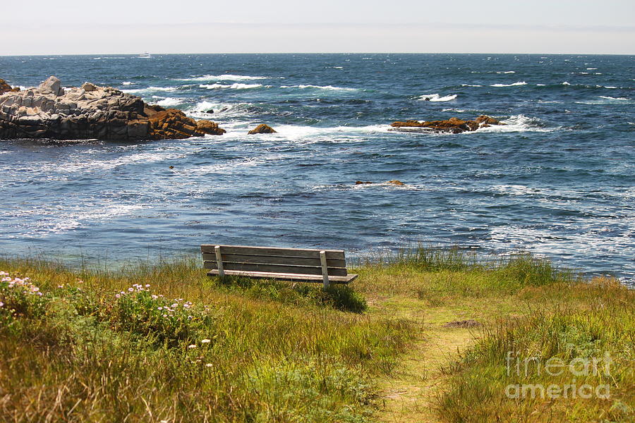 Serenity Bench Photograph by Bev Conover