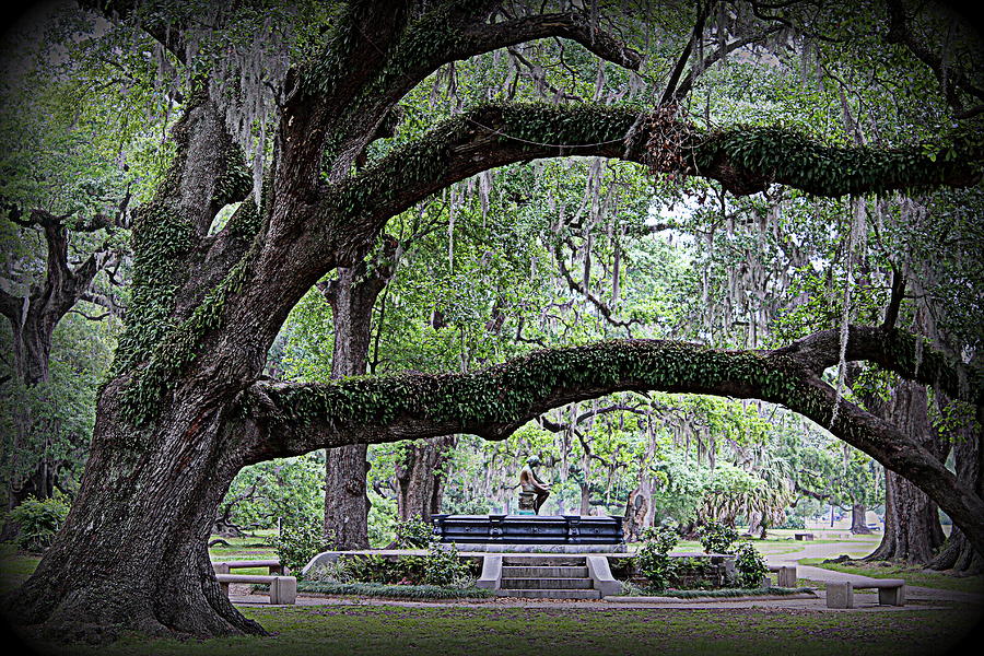 New Orleans Photograph - Serenity by Beth Vincent