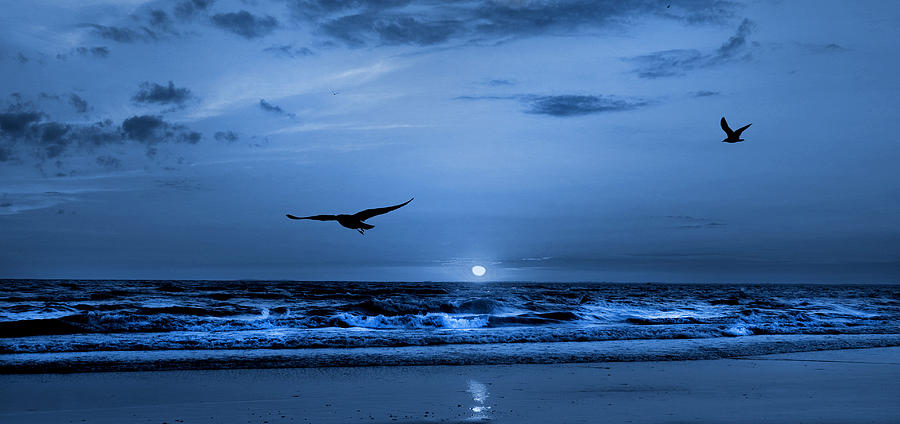 Serenity Blues Photograph by Cindy Haggerty