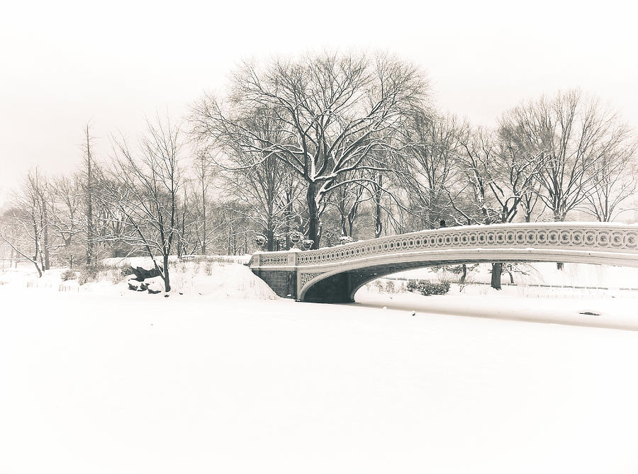 Serenity - Bow Bridge in the Snow - Central Park Photograph by Vivienne Gucwa