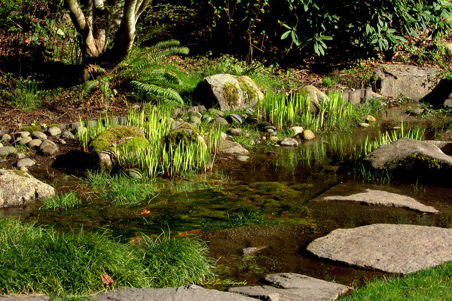 Serenity In Yashiro Japanese Garden Photograph By Jeanette C Landstrom