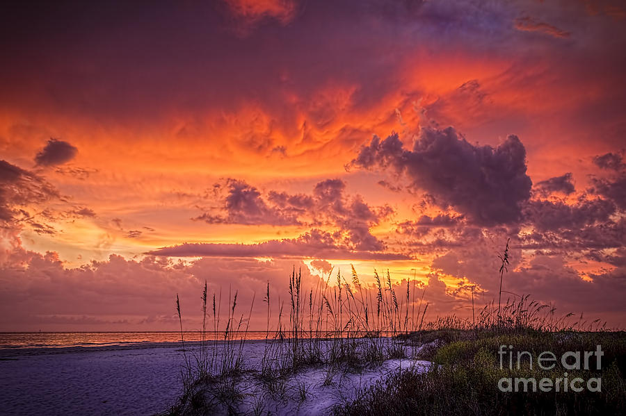 Sunset Photograph - Serenity by Marvin Spates