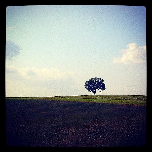 Tree Photograph - Serenity Now #westernpa #country #tree by Tom Bush