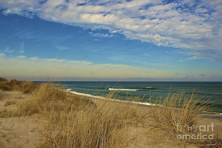 Serenity on Coast Guard Beach Photograph by Amazing Jules