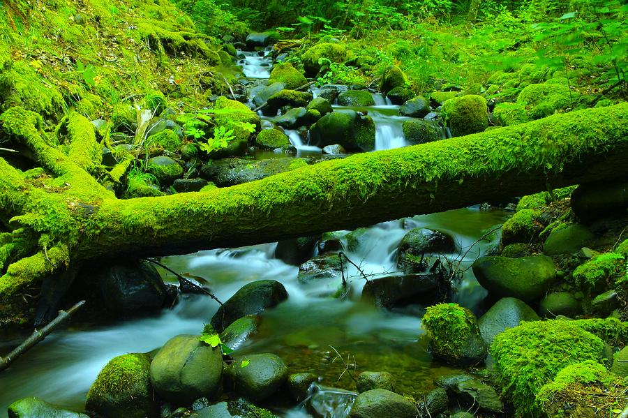 Serenity On The Rocks Photograph by Jeff Swan - Fine Art America