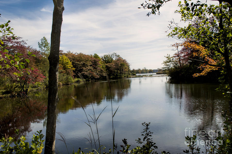 Serenity Pond Photograph by Eric Reutlinger - Fine Art America