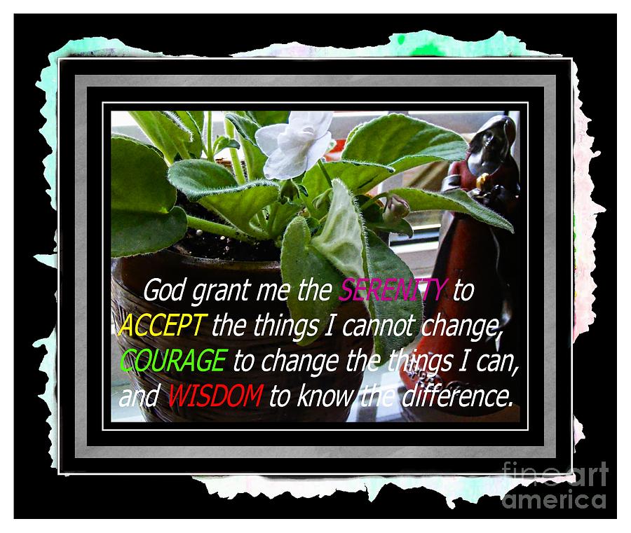 Flowers Still Life Photograph - Serenity Prayer and Angel by Barbara A Griffin