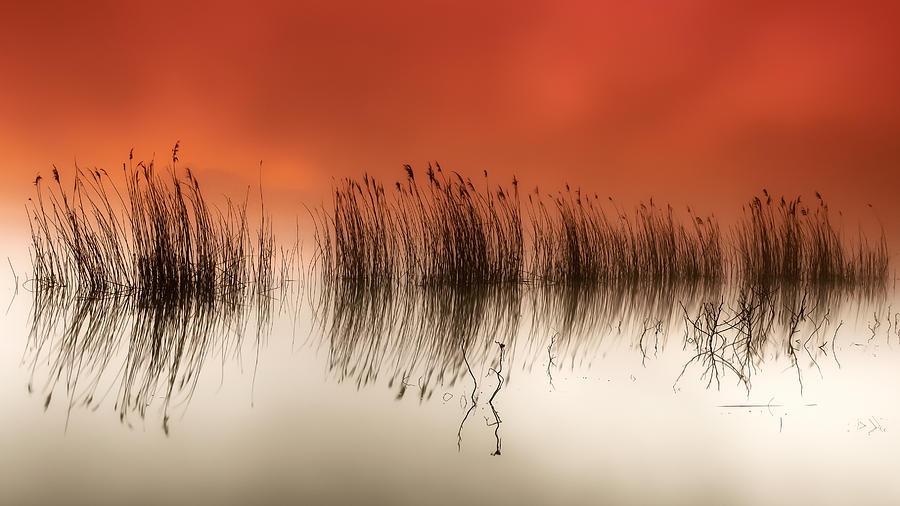 Landscape Photograph - Serenity by Rui David
