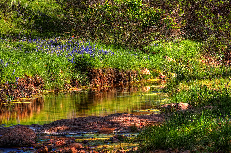 Spring Photograph - Serenity by Tom Weisbrook