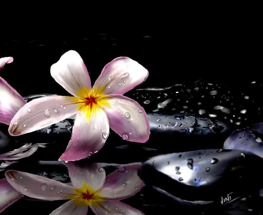 Flowers Still Life Digital Art - Serenity by Viny Mathew