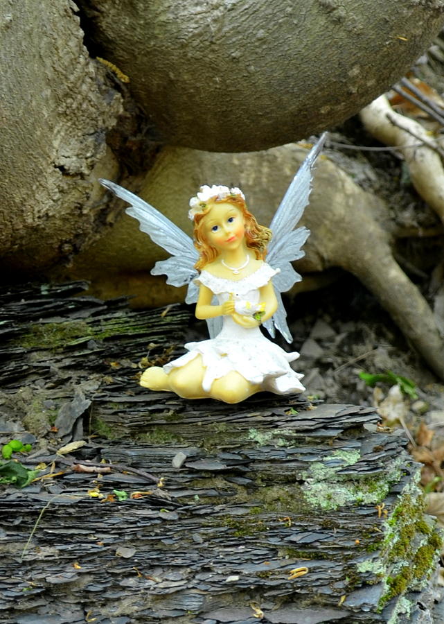 Fairy Photograph - Serenity Woodland Fairies by Linda Rae Cuthbertson