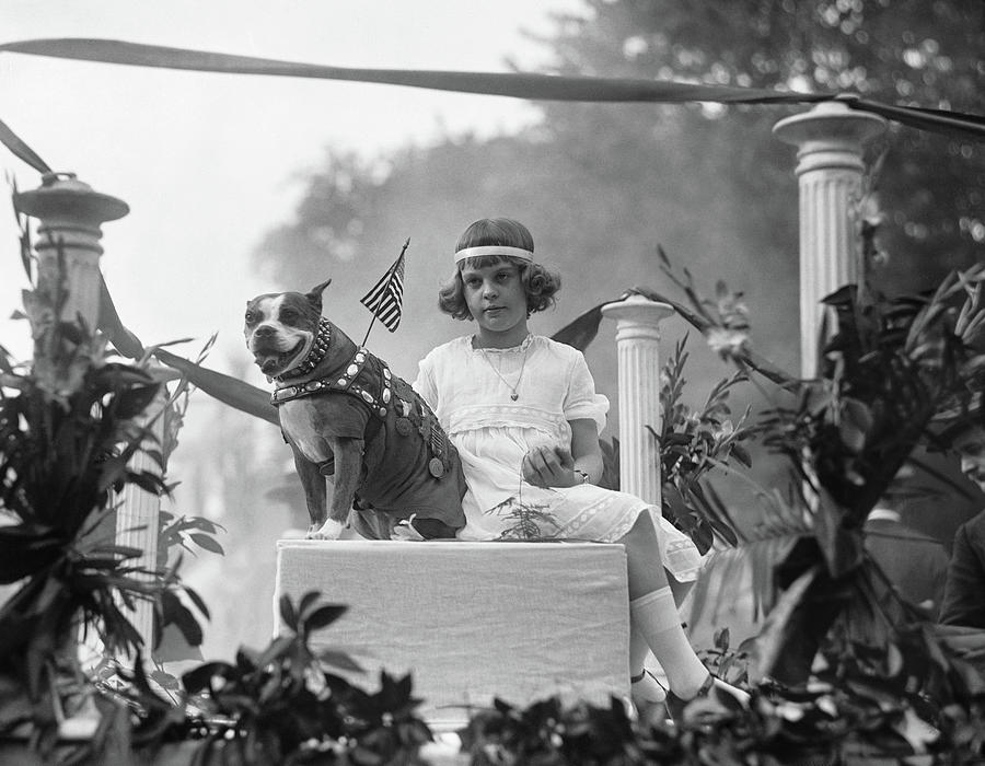 Sergeant Stubby, 1921 Photograph by Granger