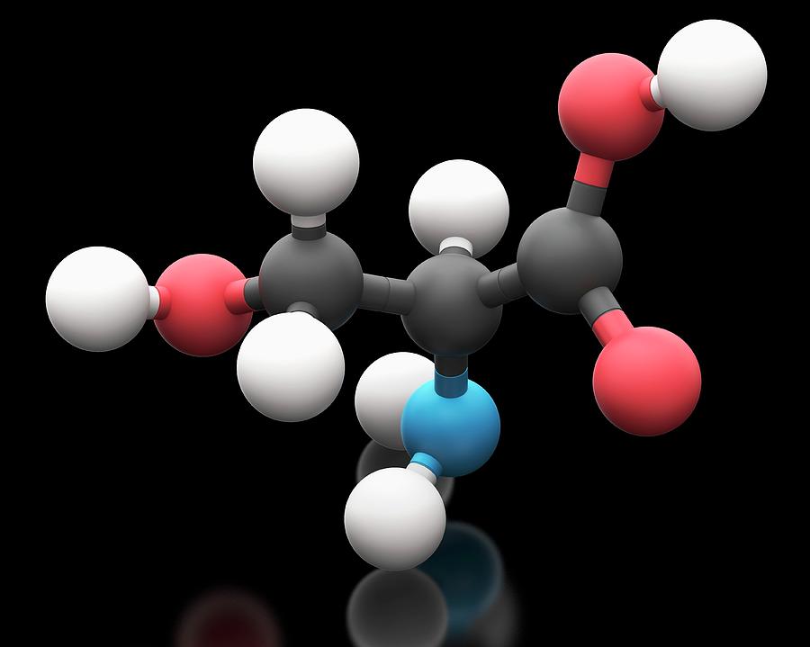 Serine Amino Acid Molecule Photograph by Carlos Clarivan