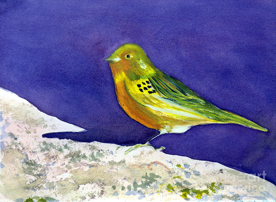 Serinus  Canaria  aka the Canary Painting by Donna Walsh