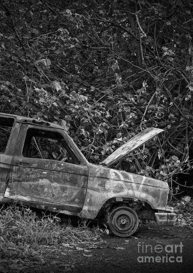 Jungle Photograph - Serious car trouble in the tropics by Edward Fielding
