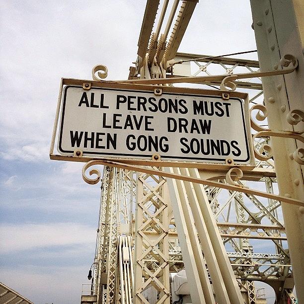 Seriously, A Gong? Whos Banging It Photograph by Doodle Hedz