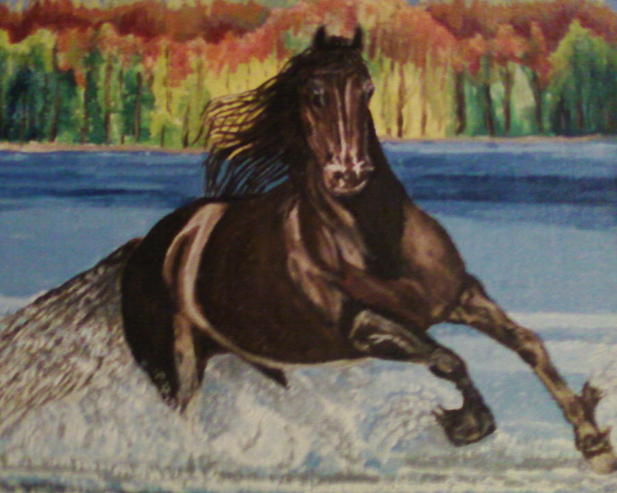 Horse Painting - Serocko by Sandra Wilson