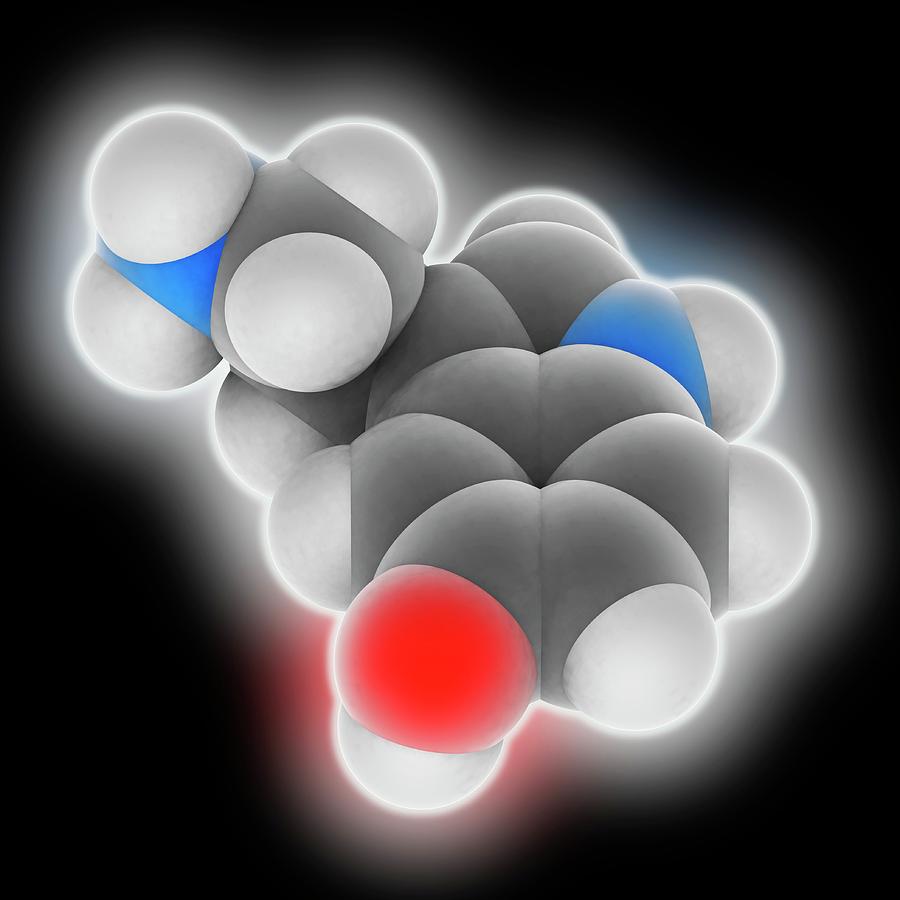 Black Background Photograph - Serotonin Molecule by Laguna Design